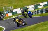 cadwell-no-limits-trackday;cadwell-park;cadwell-park-photographs;cadwell-trackday-photographs;enduro-digital-images;event-digital-images;eventdigitalimages;no-limits-trackdays;peter-wileman-photography;racing-digital-images;trackday-digital-images;trackday-photos